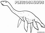 Plesiosaurus Coloring Pages Colorings sketch template