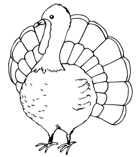 top  turkey coloring pages  toddlers