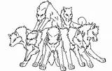 Wolf Pack Coloring Pages Wolves Drawing Anime Six Color Howling Getdrawings Print Printable Getcolorings Powered sketch template