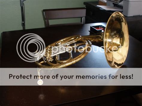 french horn pictures images  photobucket