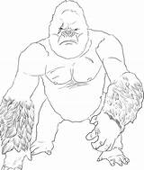 Kong King Coloring Pages Printable Kids Ape Great Popular Coloringhome Library Books sketch template