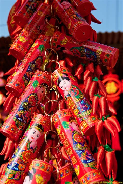 chinese  year decorations china chinese chinesenewyear