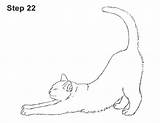 Stretching Drawings How2drawanimals Tabby Easy Hoentd Joanie sketch template