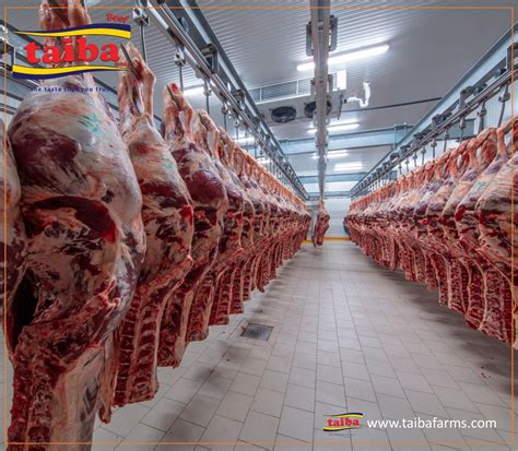halal meats halal brazilian meat suppliers  wholesalers