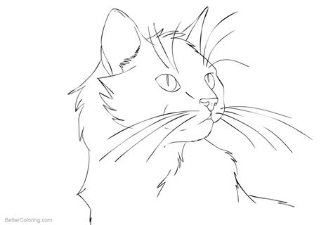 cat coloring pages head  printable coloring pages