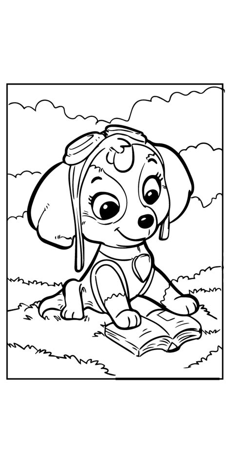 cute paw patrol skye coloring page  printable coloring pages  kids