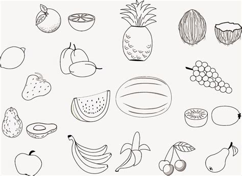 fruit coloring pages  getcoloringscom  printable colorings