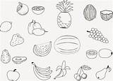 Fruits Getcolorings Albanysinsanity Obst Coloringpages234 sketch template