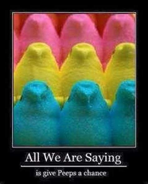 Pin By J G On Funny And Sarcastic Easter Peeps Marshmallow Peeps