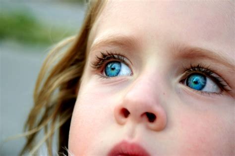 blue eyes originated  years    black sea region top