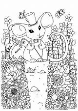 Topi Colorare Souris Disegni Adulti Mouses Mice Chapeau Zentangl Justcolor Magicienne Meditative Fleuri Adorable Son Coloriages Apple Lovely Books Px sketch template