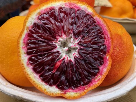 blood oranges health benefits  nutrition healthy day