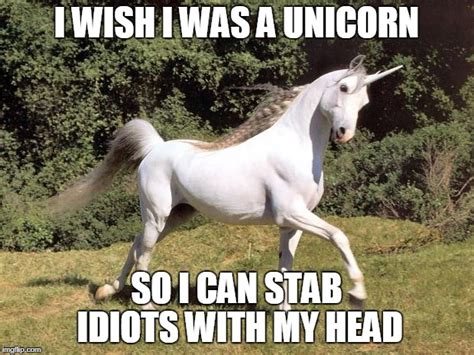 Unicorns Imgflip