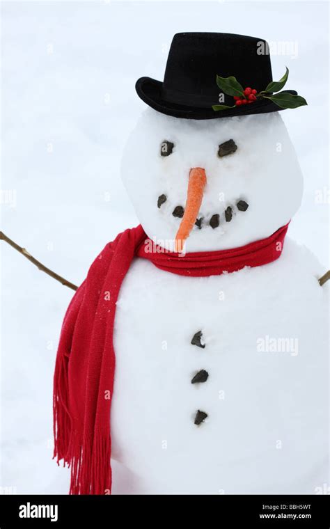 snowman  carrot nose  red scarf stock photo alamy