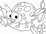 Ladybug Coloring Pages Bug Printable Colouring Ladybird Drawing Girl Lady Color Kids Lightning Print Toddlers Getcolorings Cute Marvelous Getdrawings Animal sketch template