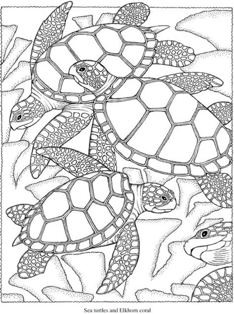 freebie sea turtle coloring page stamping