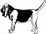 Bloodhound Clipart Decal Clipartbest Vinyl Options sketch template