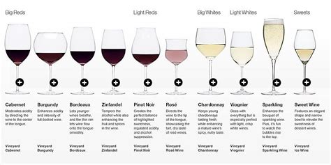 10 types of wine glass explained wine types of wine glasses types of wine wine