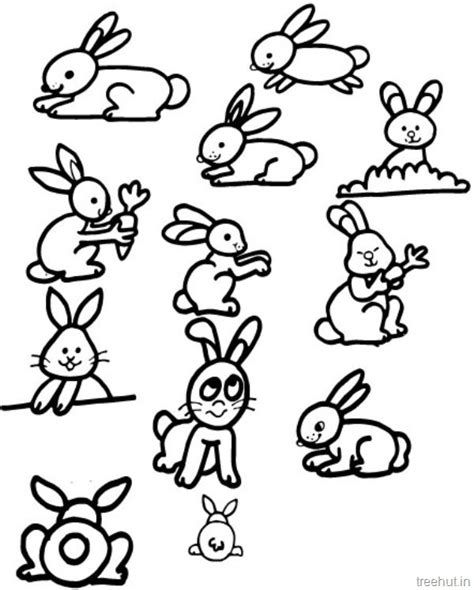 cute bunny rabbits coloring pictures