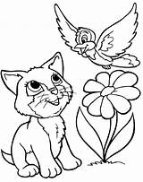 Cat Pages Coloring Fluffy Getcolorings Beautiful sketch template