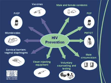 Hiv The Basics Prevention And Transmission