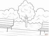 Coloring Park Pages Tree Trees Printable Public Drawing sketch template