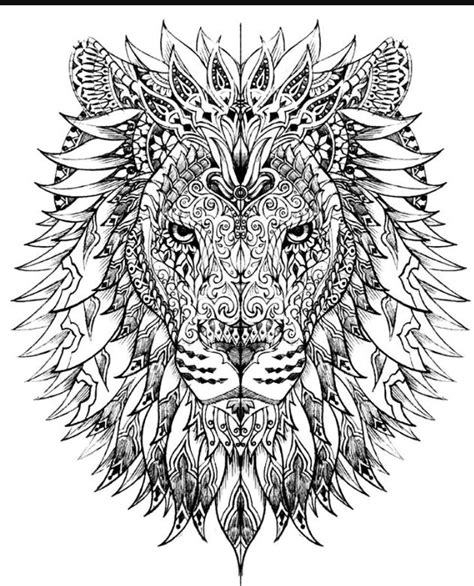 pin  florencia cardona  art   lion coloring pages animal