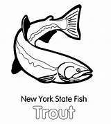 Coloring York State Trout Pages Fish Apache Printable Template Getcolorings sketch template