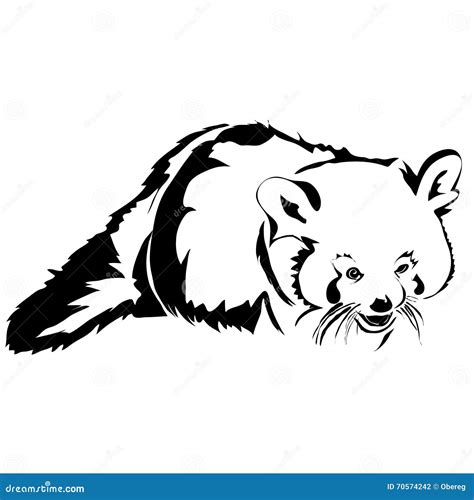 realistic outline red panda vector illustration stock vector