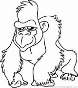 Gorilla Coloring Pages Mountain Getcolorings sketch template