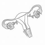 Drawing Uterus Utérus Tattoo Dessin Imagem Feminist Illustration Ovaries Drawings Visiter Para Woman Endometriosis Paintingvalley Choose Board sketch template