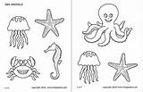 Sea Printable Animals Invertebrates Coloring Templates Pages sketch template