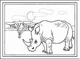 Neushoorn Zoo Kleurplaat sketch template