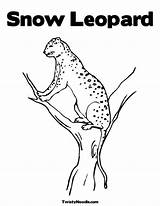 Coloring Leopard Snow Popular sketch template