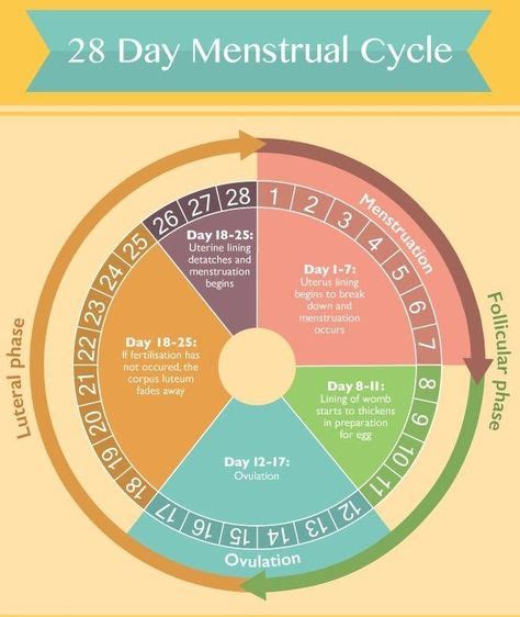women s menstruation chart