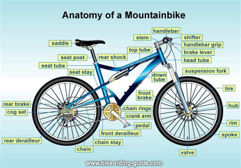 bicycle parts components   bicycle parts diagram