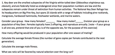 male deer exercise exercisewalls