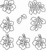 Coloring Hawaiian Flower Wecoloringpage Pages sketch template