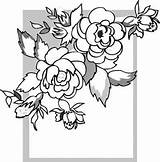 Pergamano Colorir Desenhos Rosier Verob Coloriages زهور Rosas Bordure Patrons Imprimer طائرات sketch template