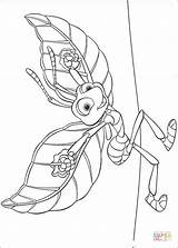 Coloring Pages Flik Fly Ready Silhouettes Printable Crafts sketch template