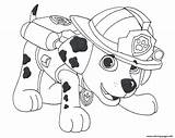Patrol Marshall Coloring Draw Paw Pages Printable Color sketch template