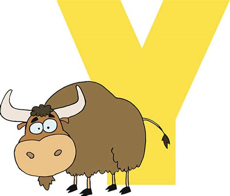 Pictures Of Yak Illustrations Royalty Free Vector Graphics And Clip Art