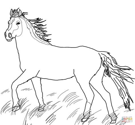 mustang wild horse coloring page  printable coloring pages