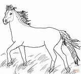 Horse Coloring Mustang Wild Pages Printable Supercoloring Drawing Paper sketch template