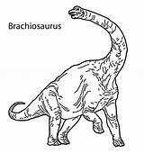 Coloring Pages Brachiosaurus Printable Dinosaur sketch template