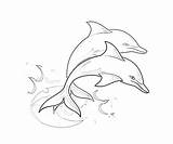 Dolphin Coloring Pages Drawing Cute Template Printable Print Jumping Line Kids Animal Dolphins Para Colouring Delfines Colorear Dibujos Realistic Templates sketch template