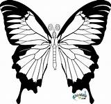 Papillon Coloriage Skull Coloriages Clker sketch template