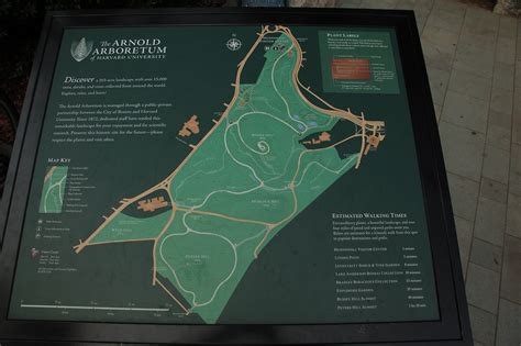 arnold arboretum map   grounds   arborway gate flickr