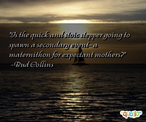 stoic quotes quotesgram