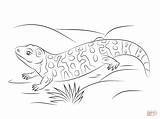 Gila Monster Coloring Pages Cute Printable Monsters Lizard Kids Drawing Color Print Supercoloring Drawings Adults Animals Choose Board sketch template